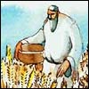 Parshah: Emor
